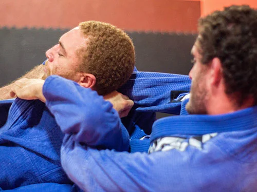 Arnold BJJ academy photo