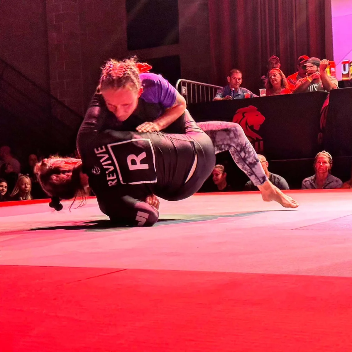 Arnold BJJ academy photo