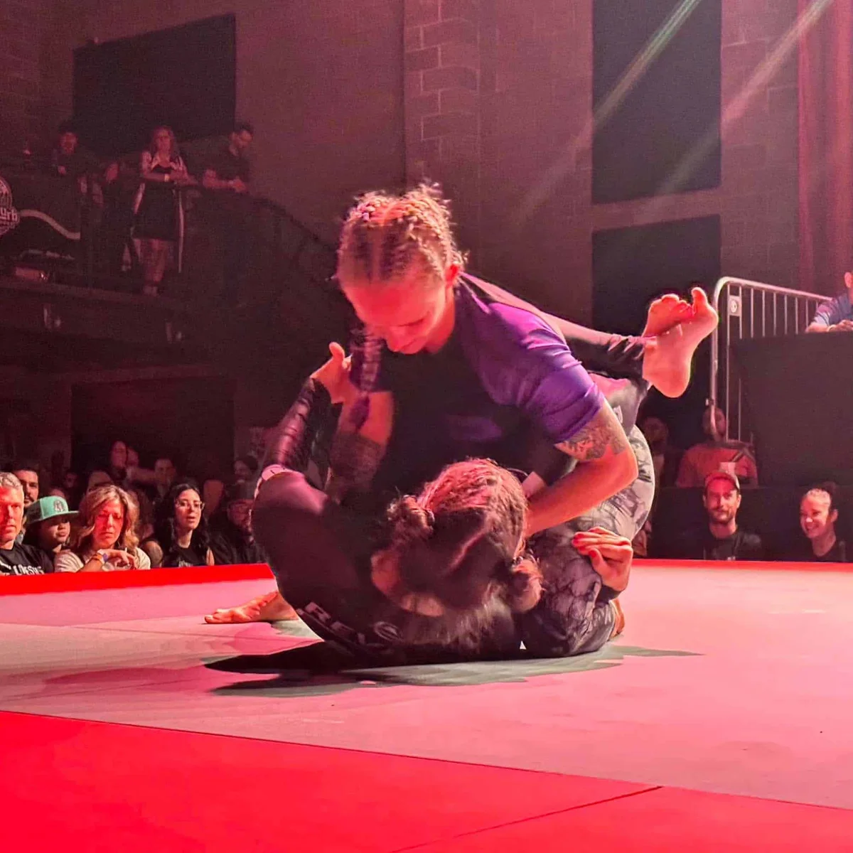 Arnold BJJ academy photo