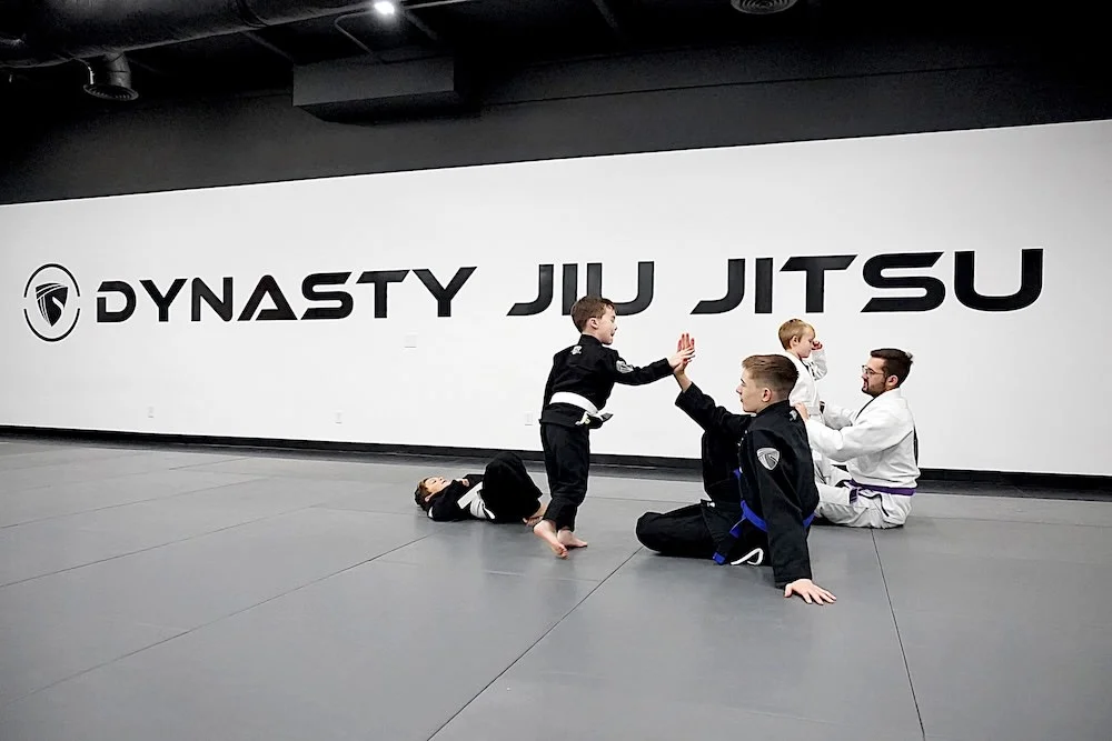 Dynasty Jiu Jitsu visual