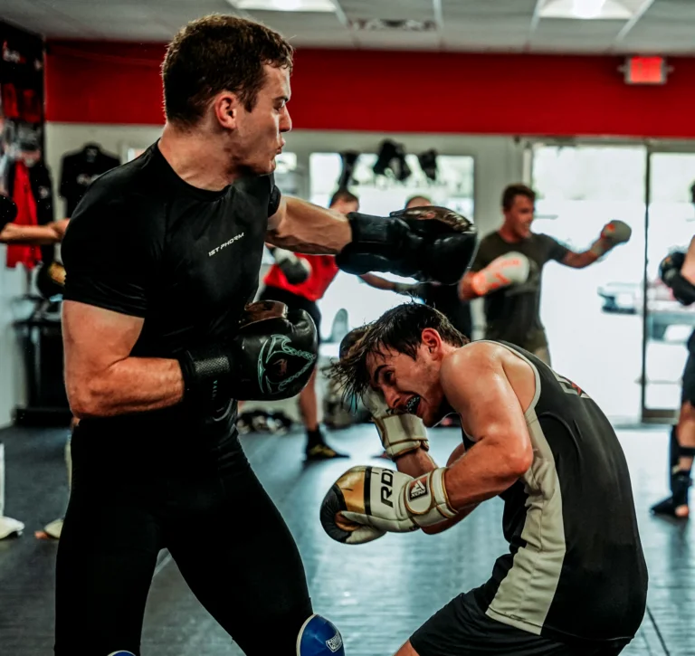 ES MMA and Fitness academy photo