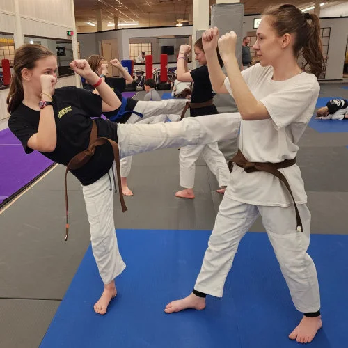 Good People Great Jiu Jitsu (Carrillo's Martial Arts Academy / Carrillo's Martial Arts) academy photo