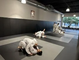 Gracie Jiu-Jitsu St Louis academy photo