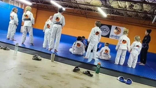 Herron BJJ visual