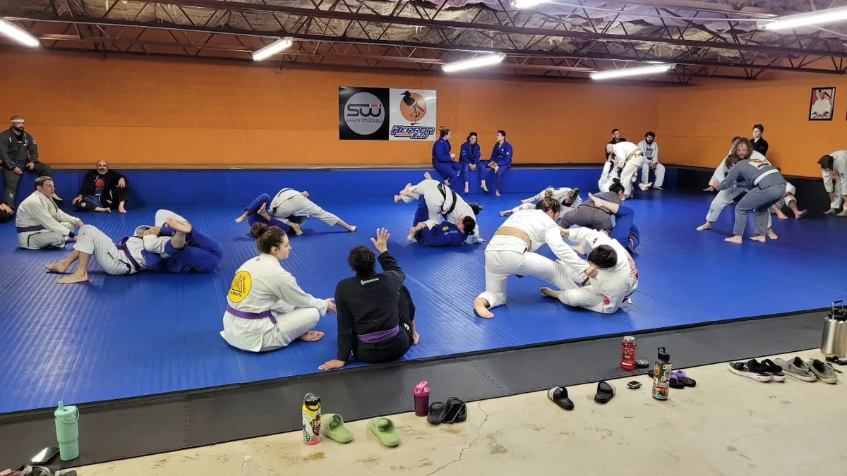 Herron BJJ academy photo