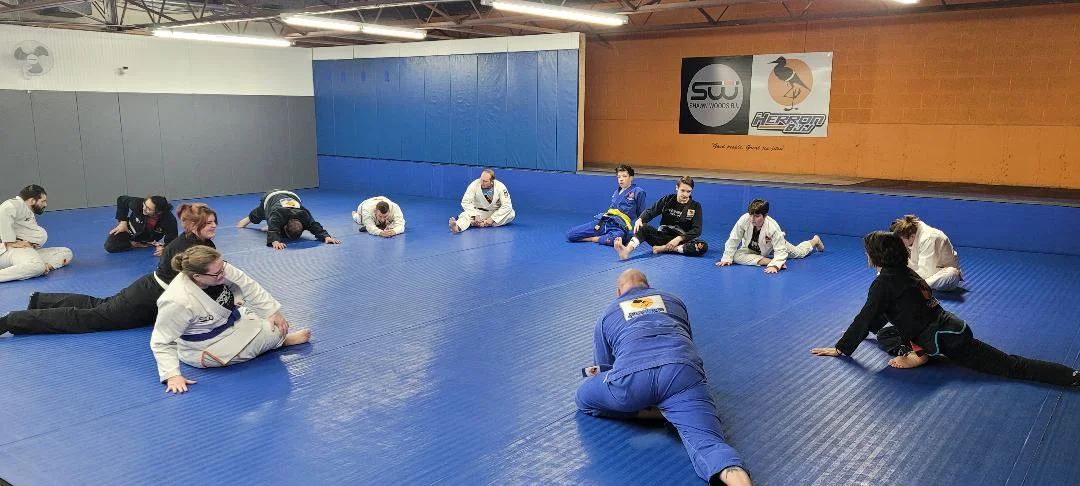 Herron BJJ academy photo