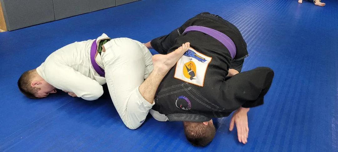 Herron BJJ academy photo