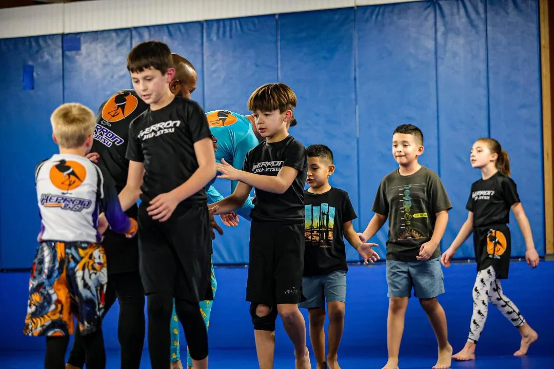 Herron BJJ academy photo