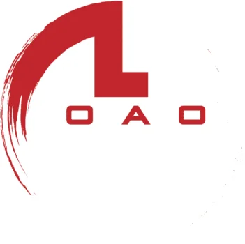 Hex Brazilian Jiu Jitsu academy logo