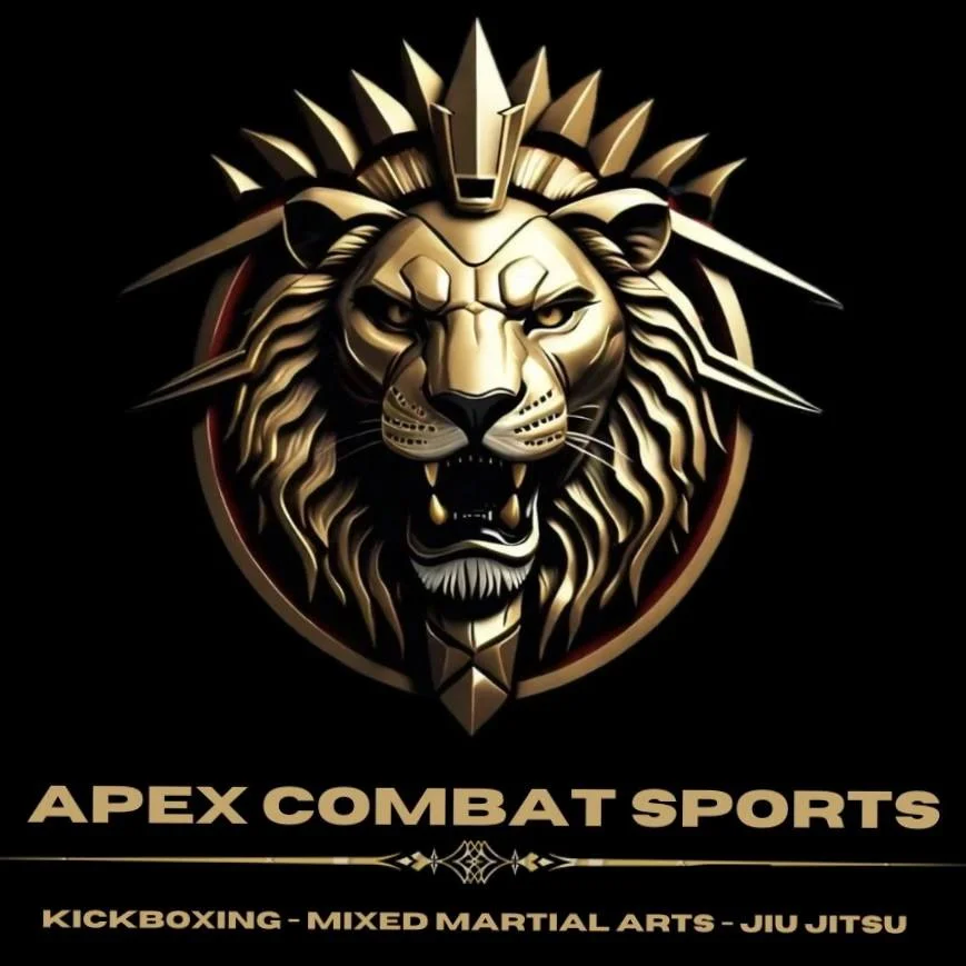 Independence Mixed Martial Arts (Gym) / Dragon Family Martial Arts and Professional Fitness Center academy logo