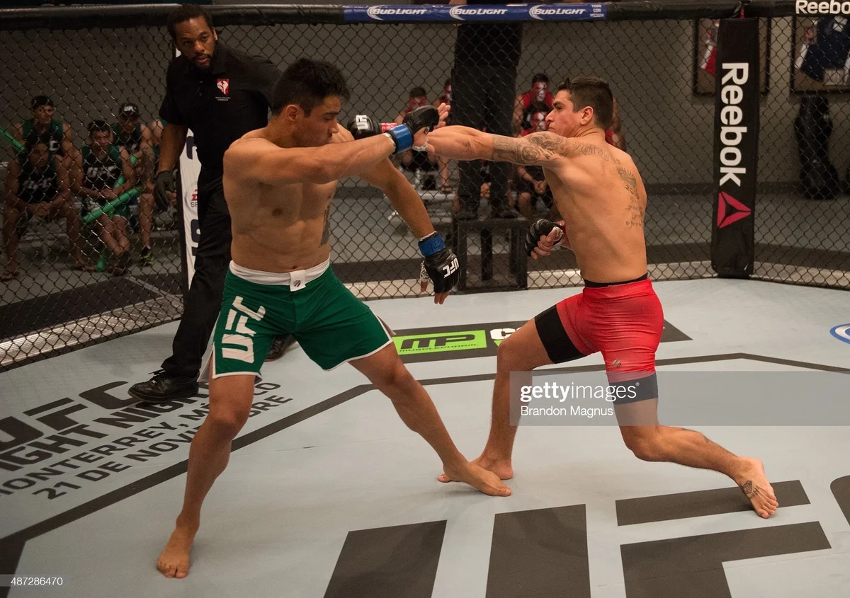 KAMIKAZE MMA & FITNESS academy logo