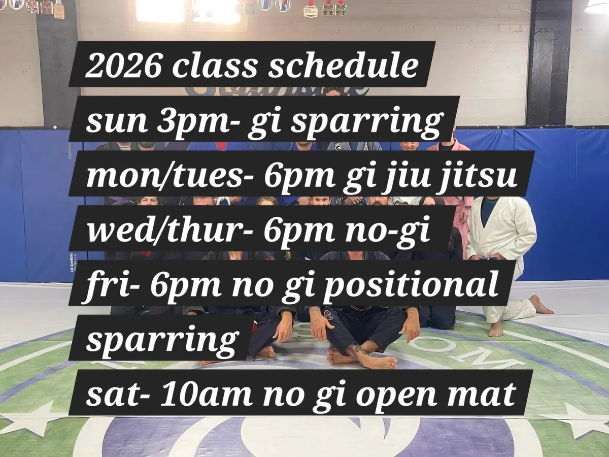 Maelstrom South Jiu-Jitsu academy photo