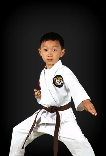Prestige ATA Martial Arts academy photo