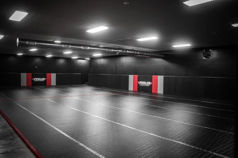 Purler Combat Academy academy photo