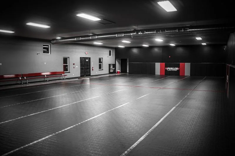 Purler Combat Academy academy photo