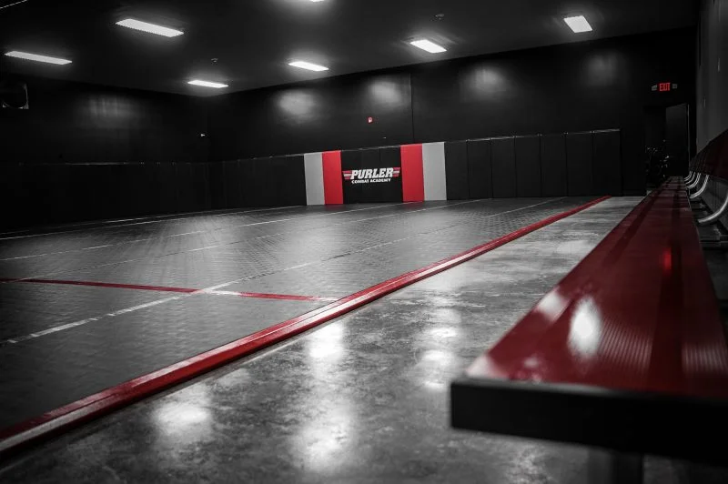 Purler Combat Academy academy photo