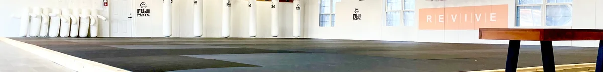 Revive Brazilian Jiu Jitsu academy photo