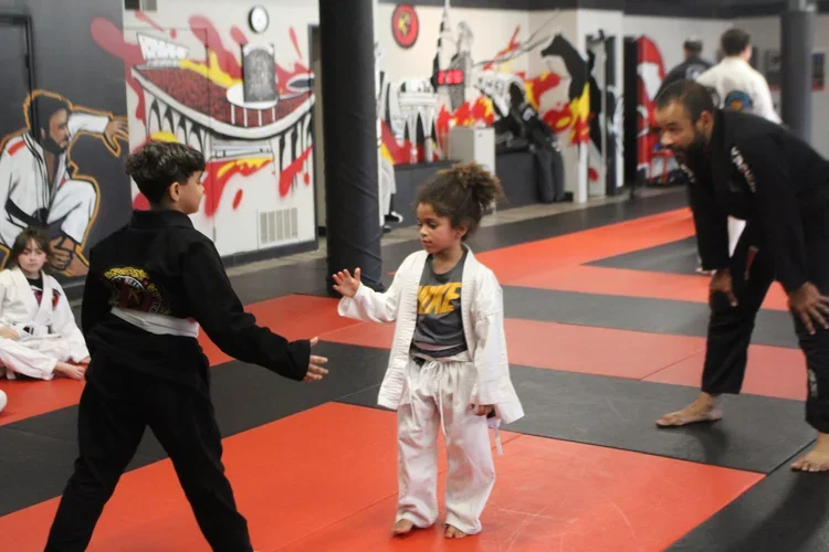Rudy Bears Brazilian Jiu-Jitsu & MMA academy photo