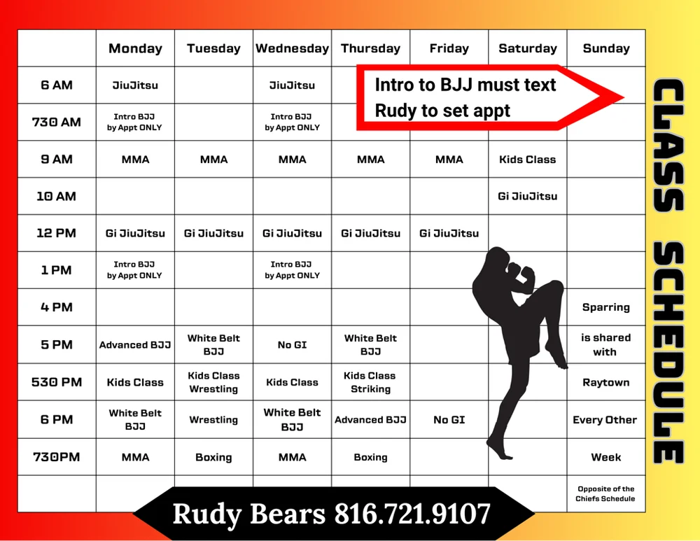 Rudy Bears Brazilian Jiu-Jitsu & MMA academy photo