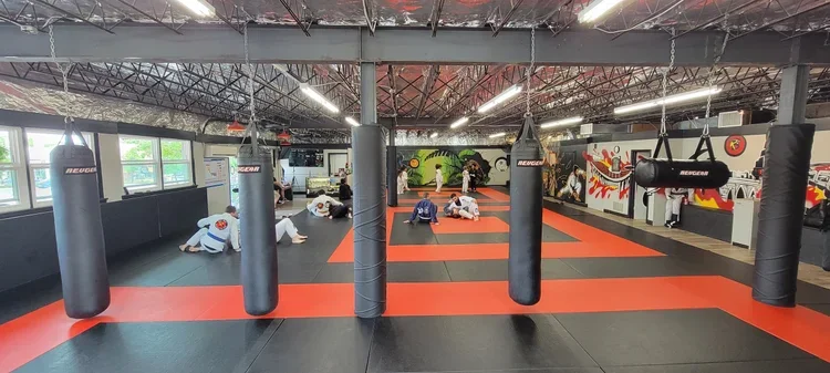 Rudy Bears Brazilian Jiu-Jitsu & MMA academy photo