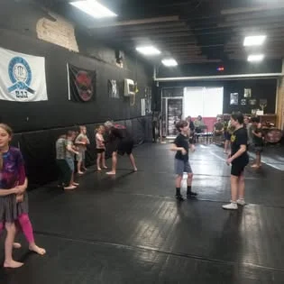Stealth Brazilian Jiu-Jitsu LLC academy photo