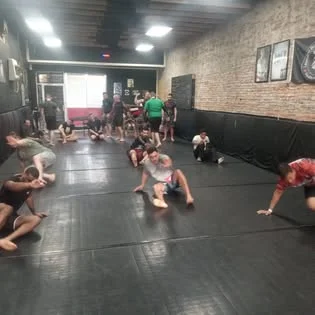 Stealth Brazilian Jiu-Jitsu LLC academy photo