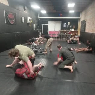 Stealth Brazilian Jiu-Jitsu LLC visual