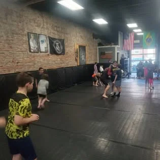 Stealth Brazilian Jiu-Jitsu LLC academy photo