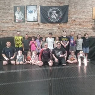 Stealth Brazilian Jiu-Jitsu LLC academy photo