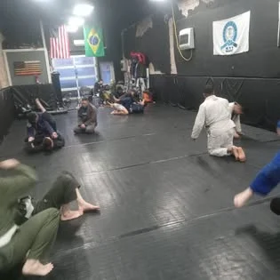 Stealth Brazilian Jiu-Jitsu LLC academy photo