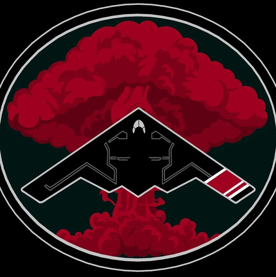 Stealth Brazilian Jiu-Jitsu LLC academy logo