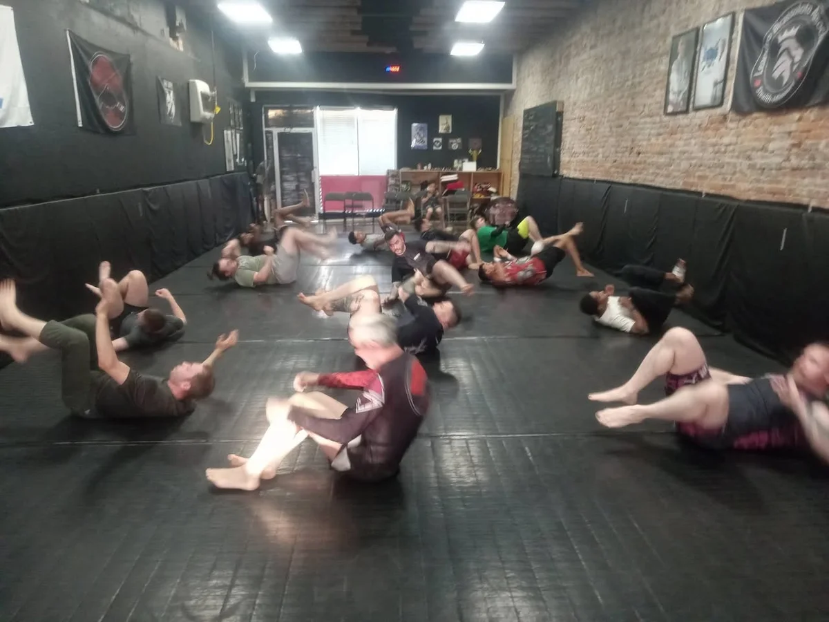 Stealth Brazilian Jiu-Jitsu LLC academy photo