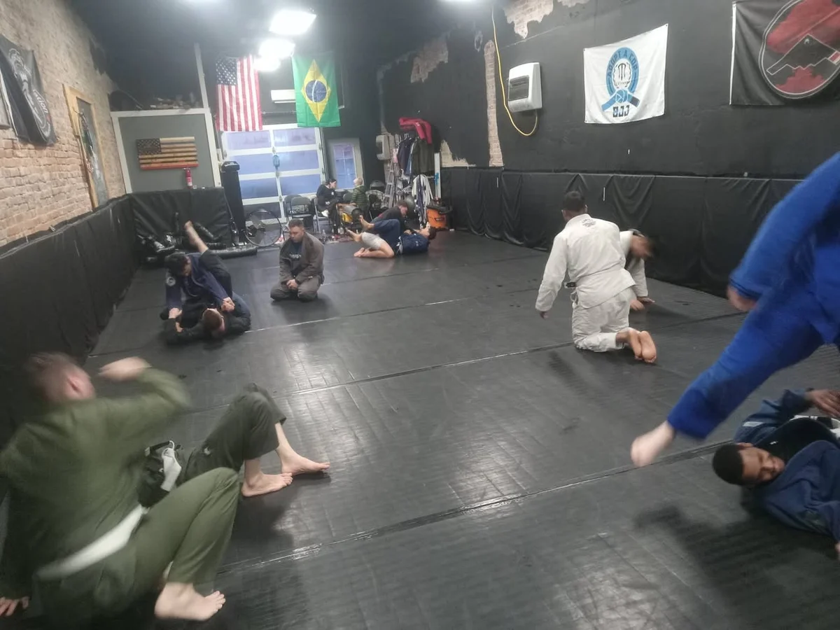 Stealth Brazilian Jiu-Jitsu LLC academy photo