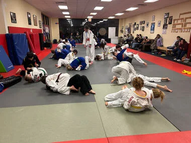 Joplin Judo and Jiu-Jitsu academy photo