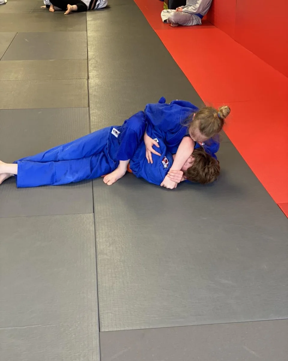 Joplin Judo and Jiu-Jitsu academy photo