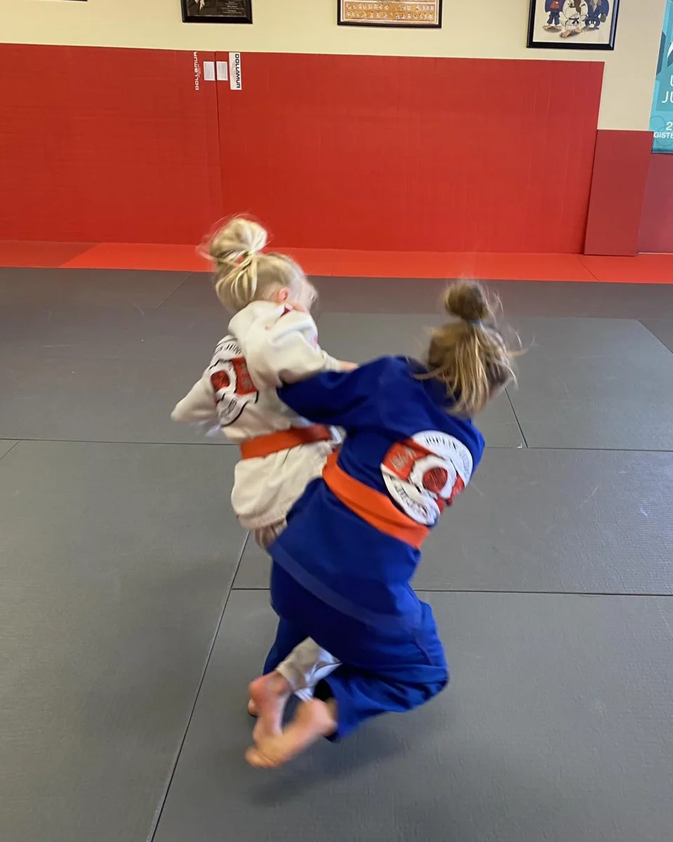 Joplin Judo and Jiu-Jitsu academy photo