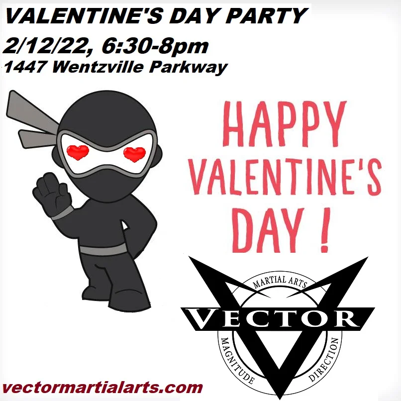 Vector Martial Arts-O'Fallon academy photo