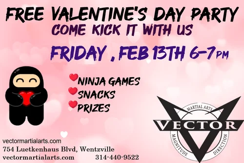Vector Martial Arts-O'Fallon academy photo