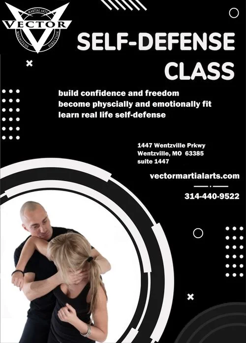 Vector Martial Arts-O'Fallon academy photo