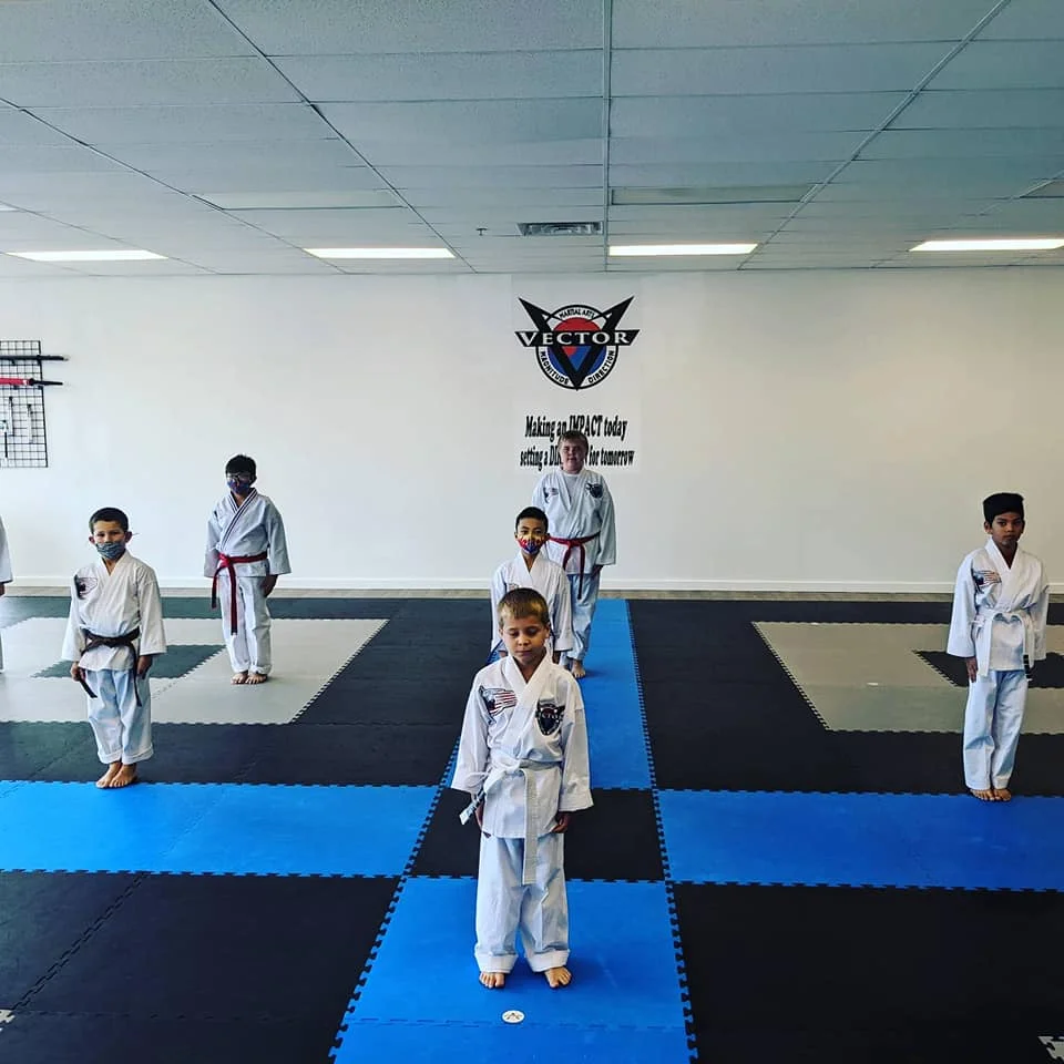 Vector Martial Arts-O'Fallon academy photo