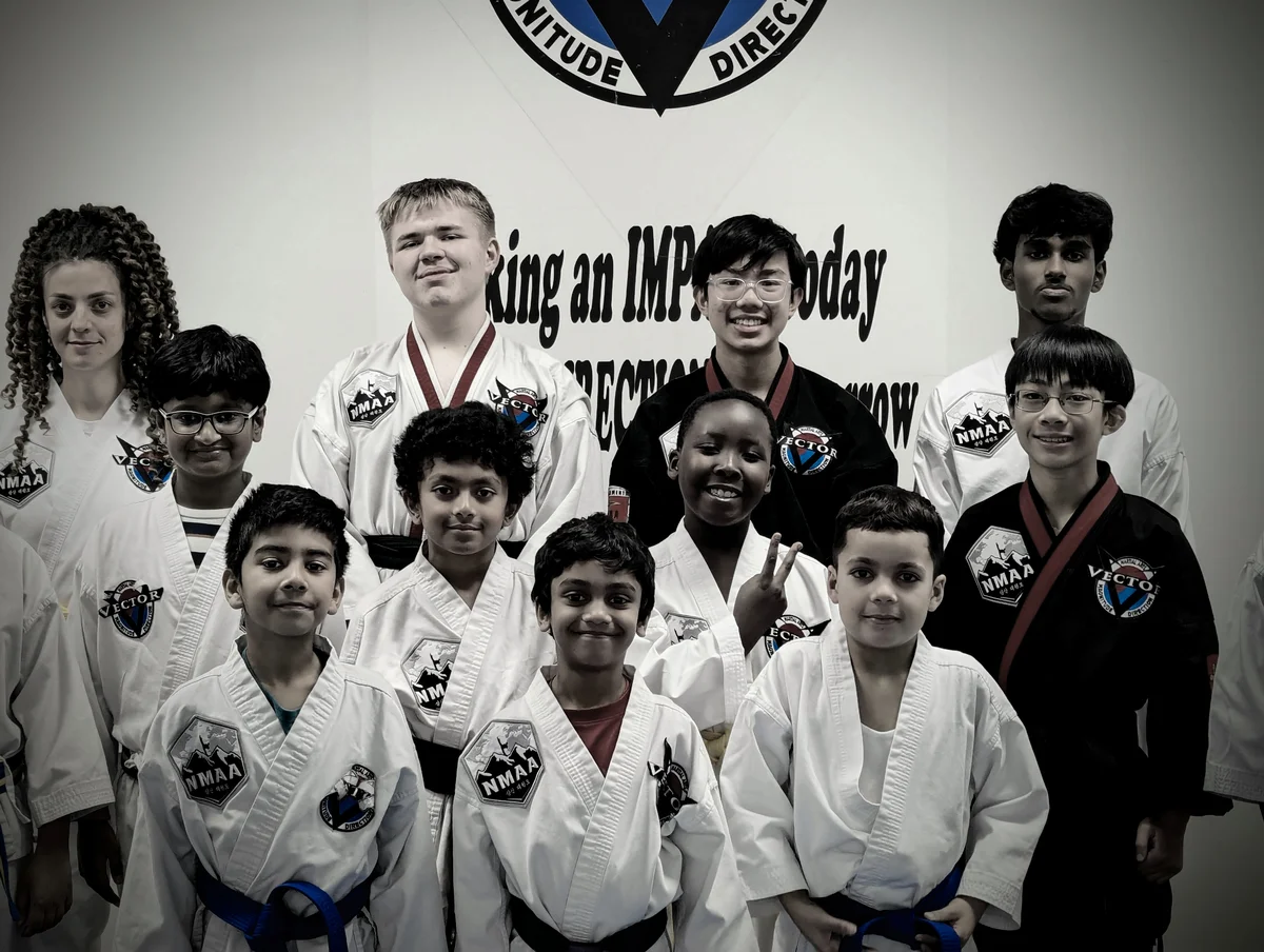 Vector Martial Arts-O'Fallon academy photo