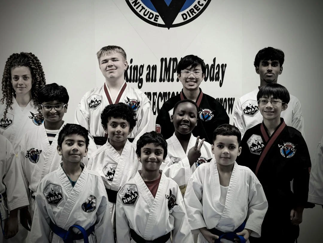 Vector Martial Arts-O'Fallon academy photo