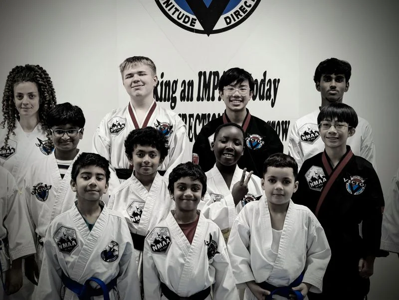 Vector Martial Arts-O'Fallon academy photo