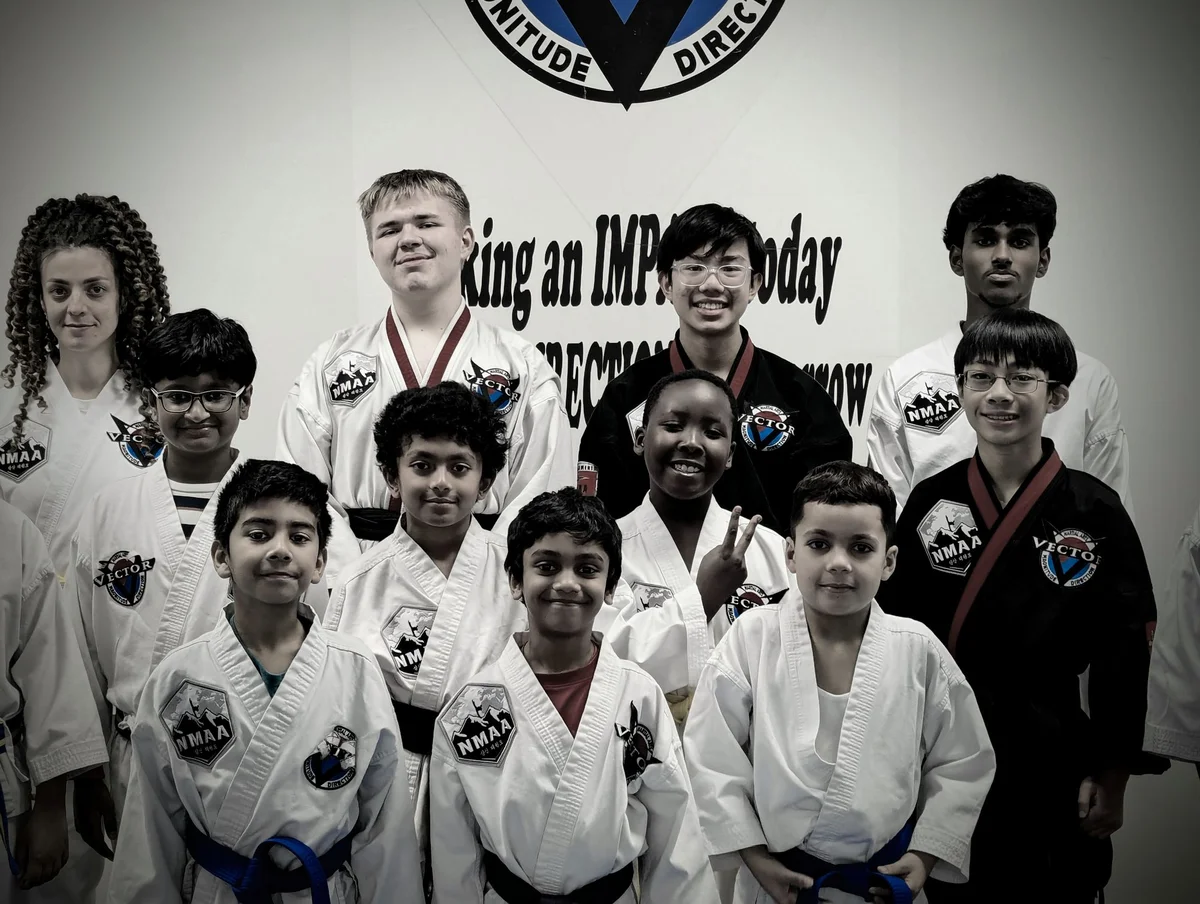 Vector Martial Arts-O'Fallon academy photo