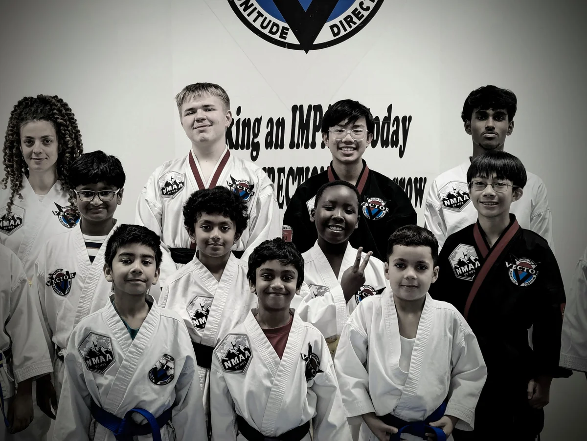 Vector Martial Arts-O'Fallon academy photo