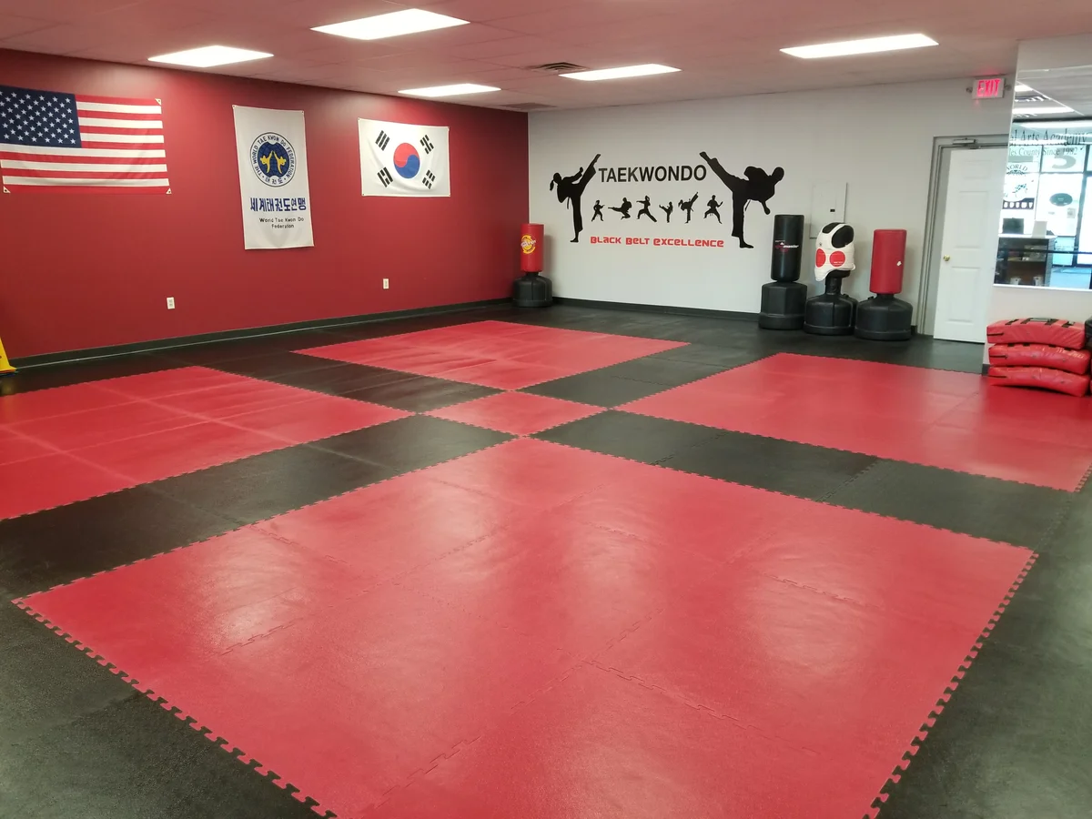 World Martial Arts Academy Ofallon academy photo