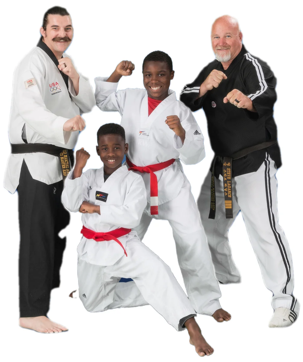 World Martial Arts Academy Ofallon academy photo