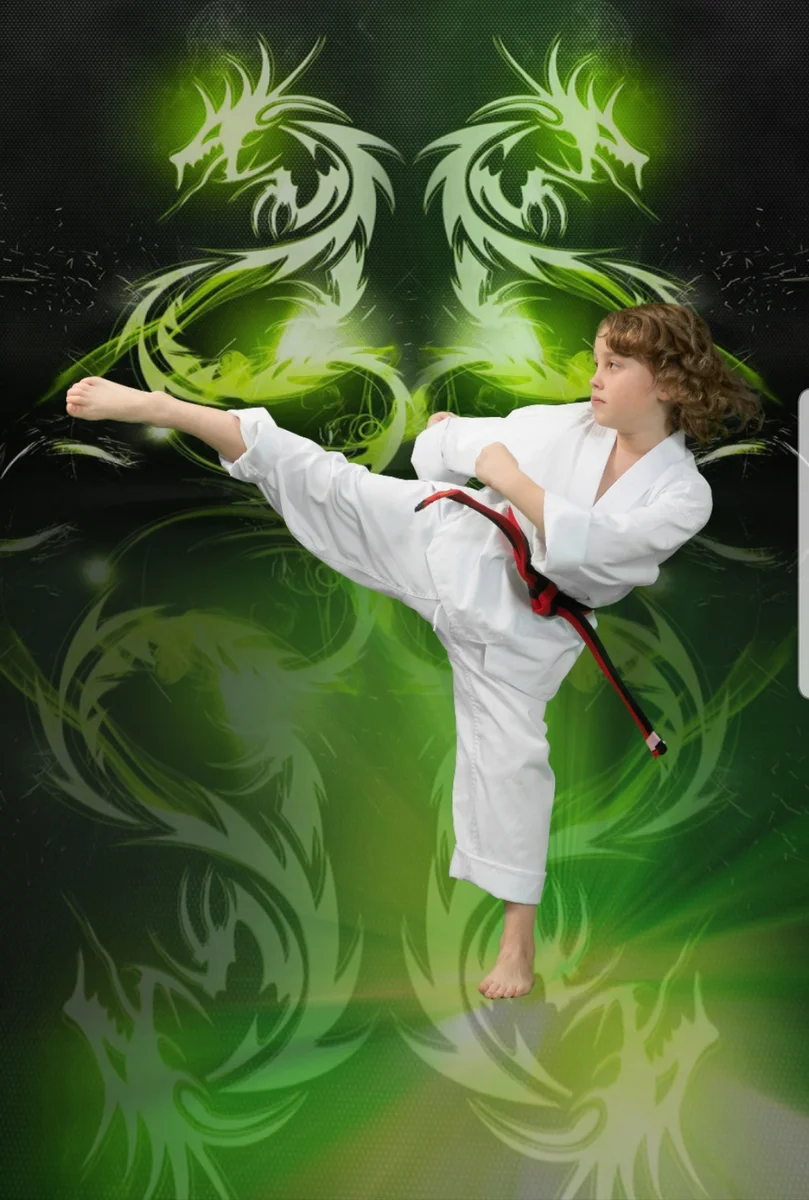 World Martial Arts Academy Ofallon academy photo