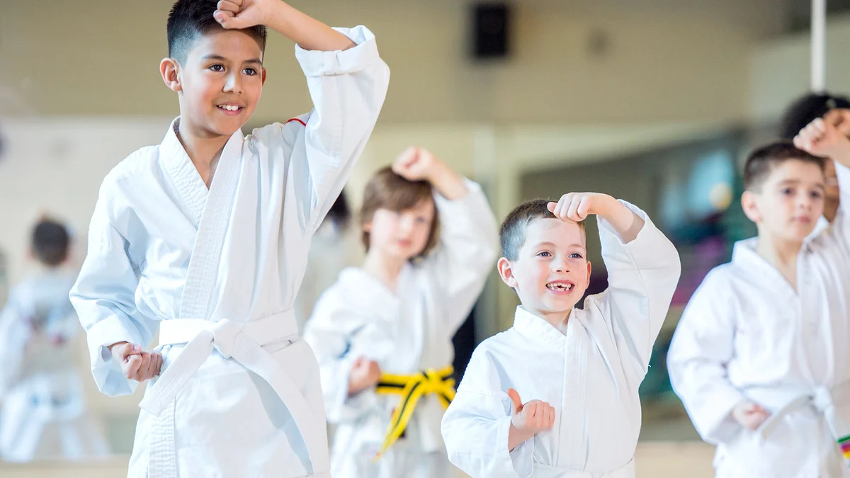 World Martial Arts Academy Ofallon academy photo