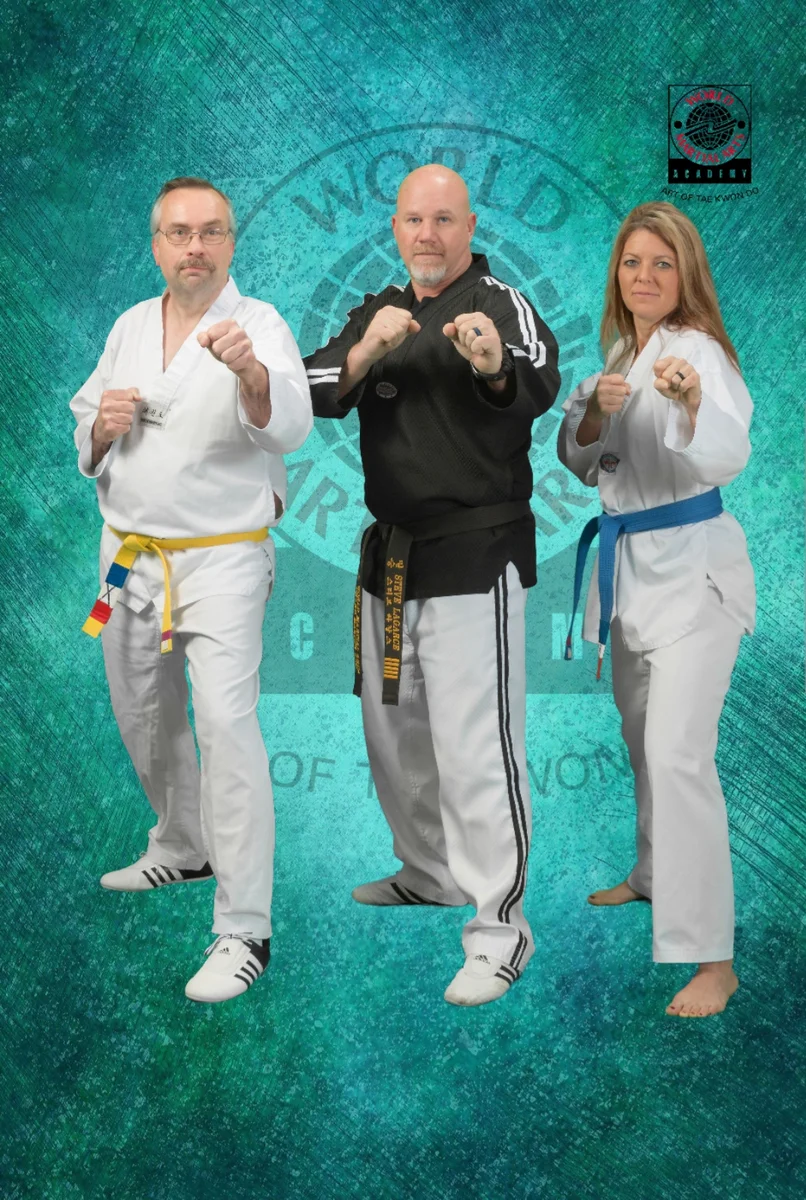 World Martial Arts Academy Ofallon academy photo